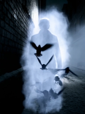 Black Raven